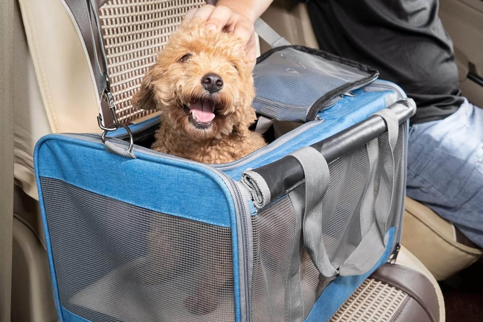 Collapsible Dog Crate