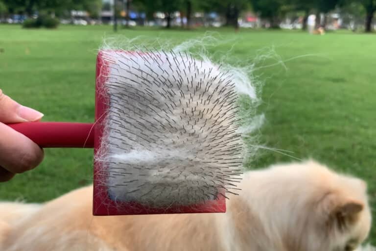 Dog Grooming brush