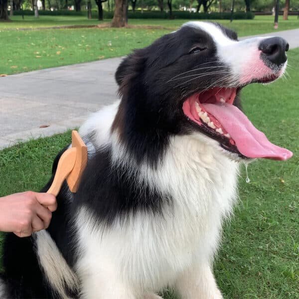 Long Pin Dog Hair Brush 5
