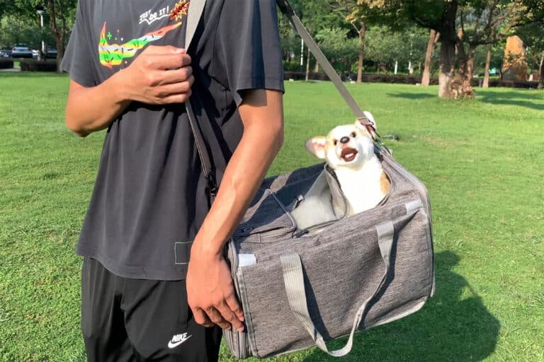 Travel Dog Crate