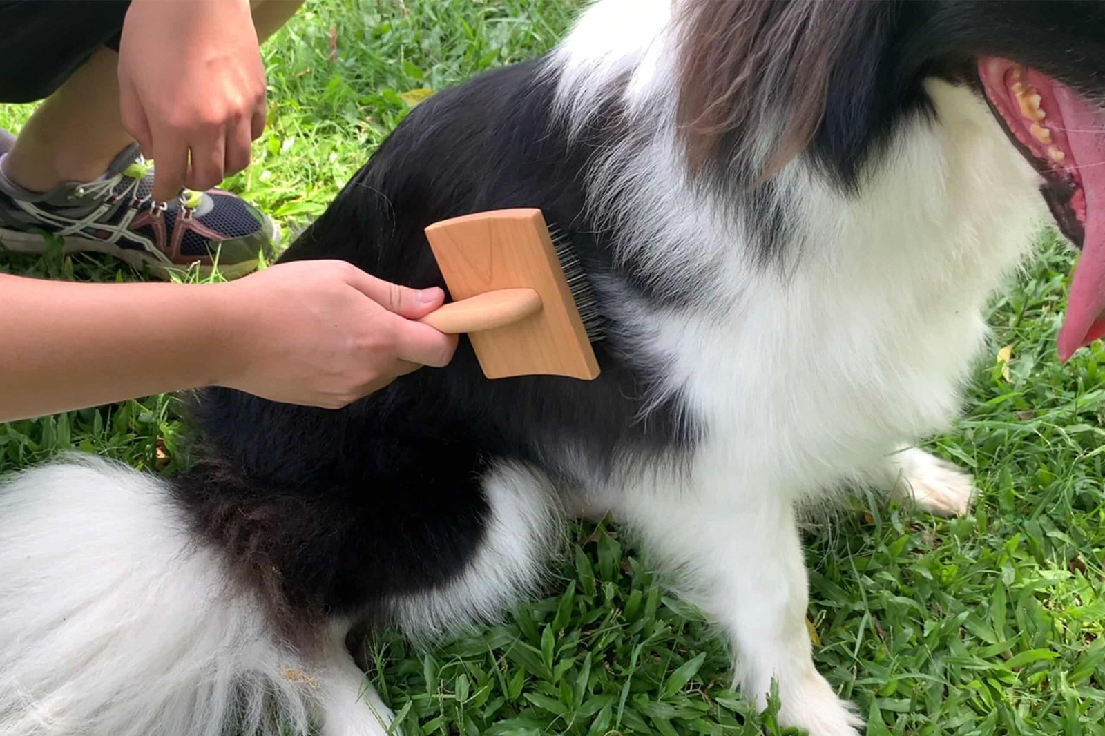 Wooden Pet Grooming Brush