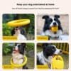 outdoor Dog Ring Toys