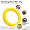 outdoor Dog Ring Toys