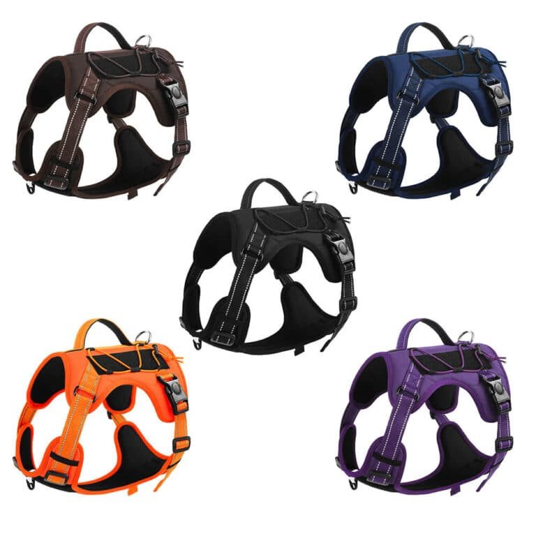outdoor dog harness 1
