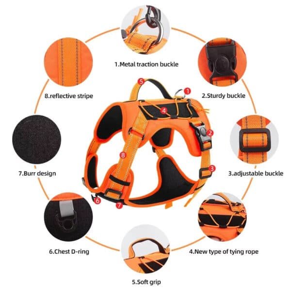 outdoor dog harness 2