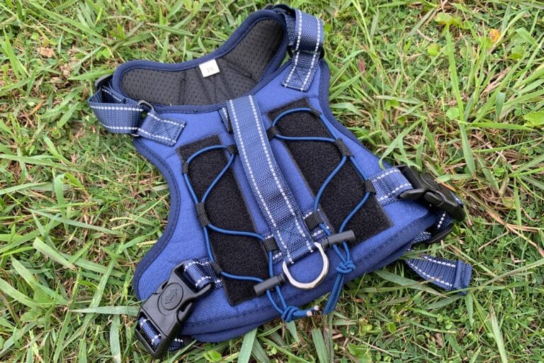 tactical dog harness