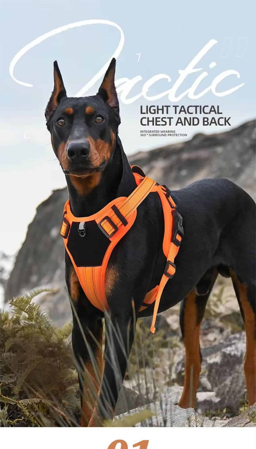 tactical dog harness 01