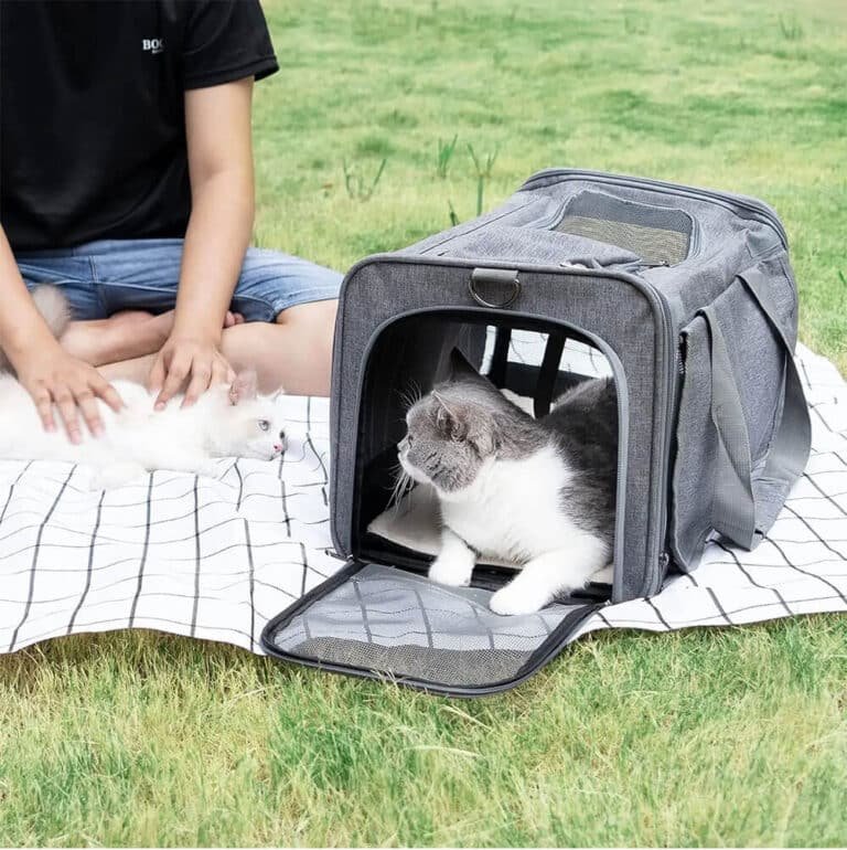 Pet Travel Carrier