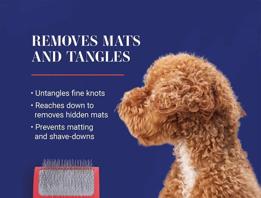 Wooden Pet Grooming Brush