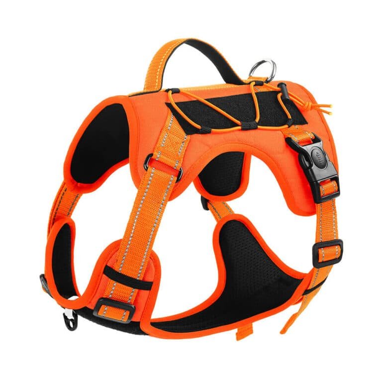 tactical dog harness